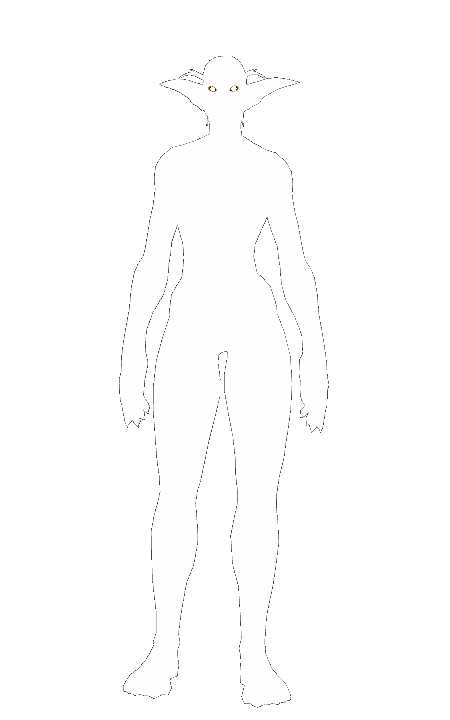 Elfo de la noche